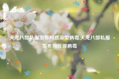 天龙八部私服发布网感染型病毒,天龙八部私服发布网惊现病毒