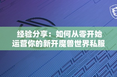 经验分享：如何从零开始运营你的新开魔兽世界私服