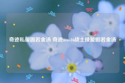 奇迹私服固若金汤 奇迹mus16战士技能固若金汤