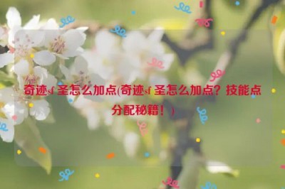 奇迹sf 圣怎么加点(奇迹sf 圣怎么加点？技能点分配秘籍！)