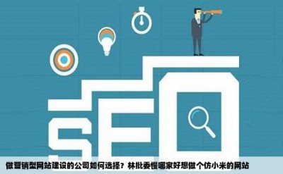 做营销型网站建设的公司如何选择？林批委慢哪家好想做个仿小米的网站