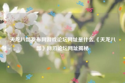 天龙八部发布网游戏论坛网址是什么,《天龙八部》网游论坛网址揭秘