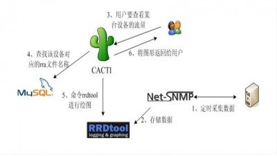 Cacti系统的未来发展方向是什么