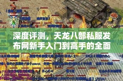 深度评测，天龙八部私服发布网新手入门到高手的全面指南