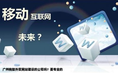 广州有做外贸网站建设的公司吗？要专业的