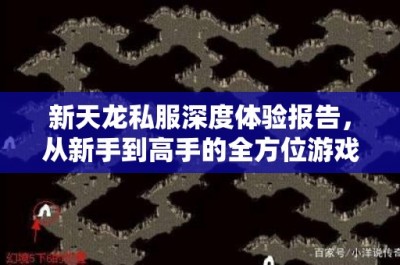 新天龙私服深度体验报告，从新手到高手的全方位游戏指南