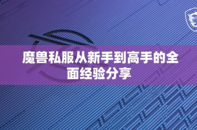 魔兽私服从新手到高手的全面经验分享