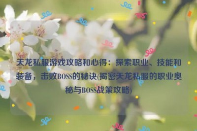 天龙私服游戏攻略和心得：探索职业、技能和装备，击败BOSS的秘诀(揭密天龙私服的职业奥秘与BOSS战策攻略)