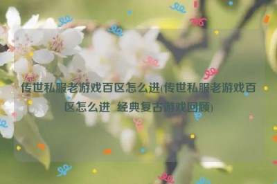 传世私服老游戏百区怎么进(传世私服老游戏百区怎么进  经典复古游戏回顾)