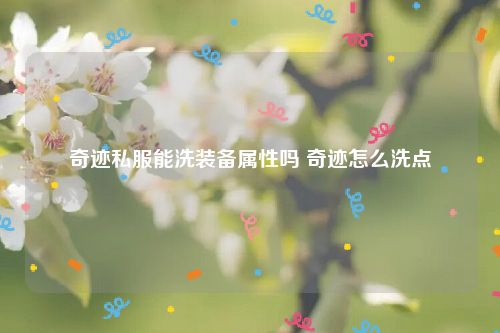 奇迹私服能洗装备属性吗 奇迹怎么洗点