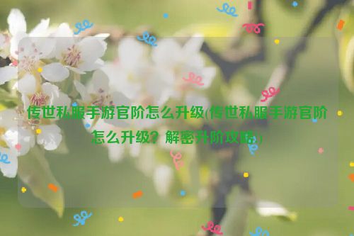 传世私服手游官阶怎么升级(传世私服手游官阶怎么升级？解密升阶攻略!)