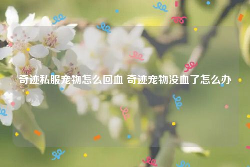 奇迹私服宠物怎么回血 奇迹宠物没血了怎么办