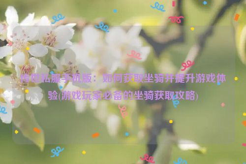 传世私服手机版：如何获取坐骑并提升游戏体验(游戏玩家必备的坐骑获取攻略)