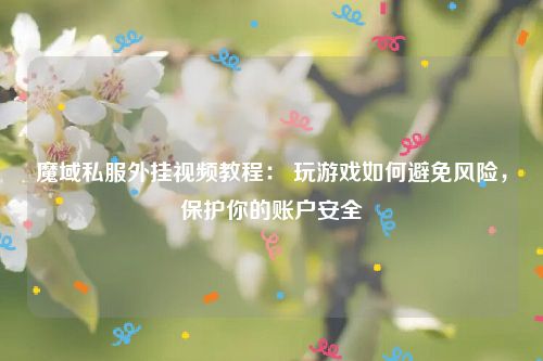 魔域私服外挂视频教程： 玩游戏如何避免风险，保护你的账户安全