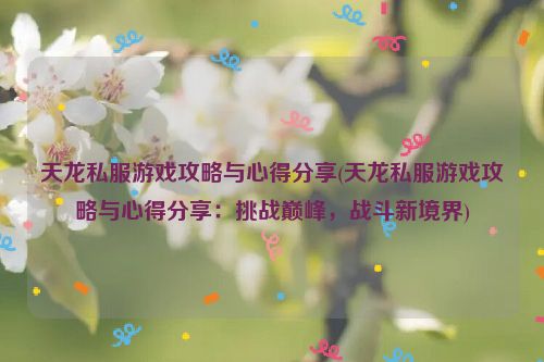 天龙私服游戏攻略与心得分享(天龙私服游戏攻略与心得分享：挑战巅峰，战斗新境界)