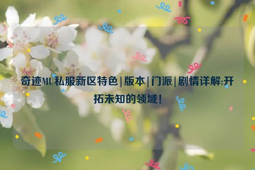 奇迹MU私服新区特色|版本|门派|剧情详解:开拓未知的领域！