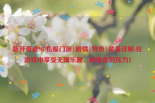 新开奇迹MU私服门派|剧情|特色|装备详解:在游戏中享受无限乐趣，释放你的压力！