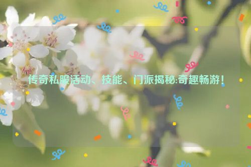 传奇私服活动、技能、门派揭秘:奇趣畅游！