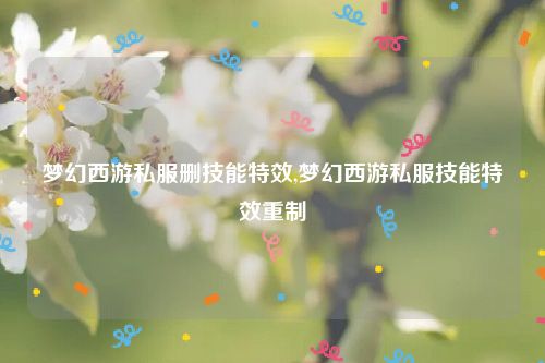 梦幻西游私服删技能特效,梦幻西游私服技能特效重制