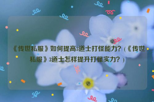 《传世私服》如何提高3道士打怪能力？(《传世私服》3道士怎样提升打怪实力？)