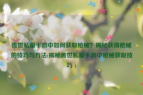 传世私服手游中如何获取枪械？揭秘获得枪械的技巧与方法(揭秘传世私服手游中枪械获取技巧 )