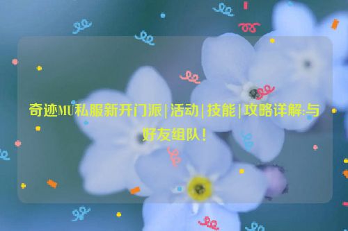 奇迹MU私服新开门派|活动|技能|攻略详解:与好友组队！