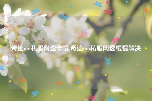 奇迹mu私服网速卡慢,奇迹mu私服网速缓慢解决