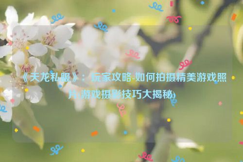 《天龙私服》：玩家攻略-如何拍摄精美游戏照片(游戏摄影技巧大揭秘)