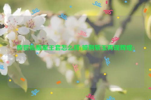 传世私服星王套怎么样(披荆斩玉再现辉煌)