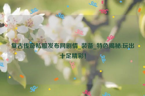 复古传奇私服发布网剧情_装备_特色揭秘:玩出十足精彩！