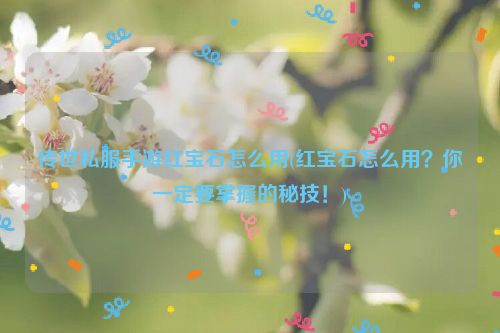 传世私服手游红宝石怎么用(红宝石怎么用？你一定要掌握的秘技！)