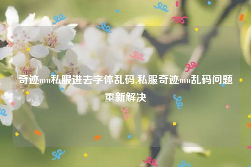 奇迹mu私服进去字体乱码,私服奇迹mu乱码问题重新解决