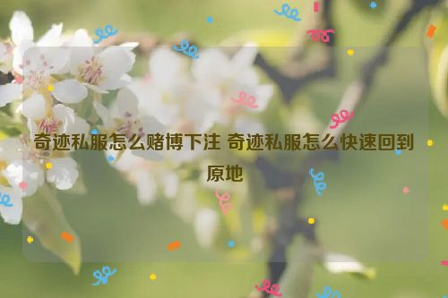 奇迹私服怎么赌博下注 奇迹私服怎么快速回到原地