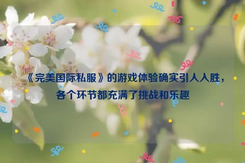 《完美国际私服》的游戏体验确实引人入胜，各个环节都充满了挑战和乐趣