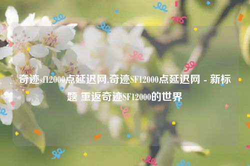 奇迹sf12000点延迟网,奇迹SF12000点延迟网 - 新标题 重返奇迹SF12000的世界